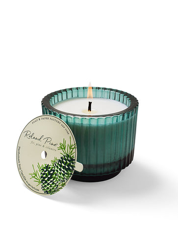 Roland Pine Single-Wick Forest Green Ribbed Glass Candle