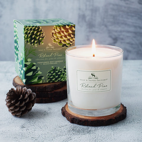 Roland Pine 9.5 oz Large Soy Candle